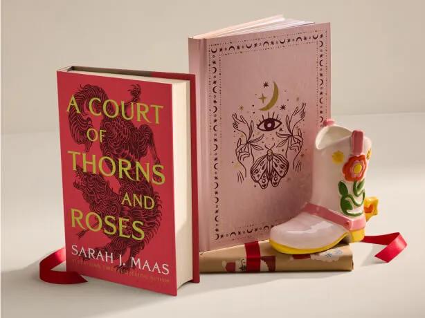 Cadeaux pour les avant-gardistes, incluant un carnet à imprimé céleste et le livre A Court of Thorns and Roses de Sarah J. Maas.